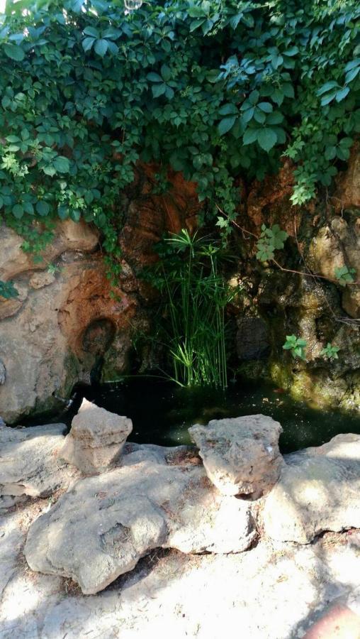 Il Giardino Del Falso Pepe Hébergement de vacances *